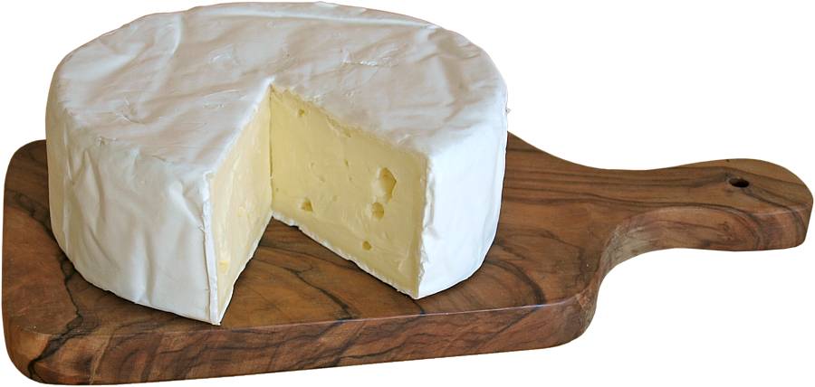 Die Käse Reife beim Camembert.