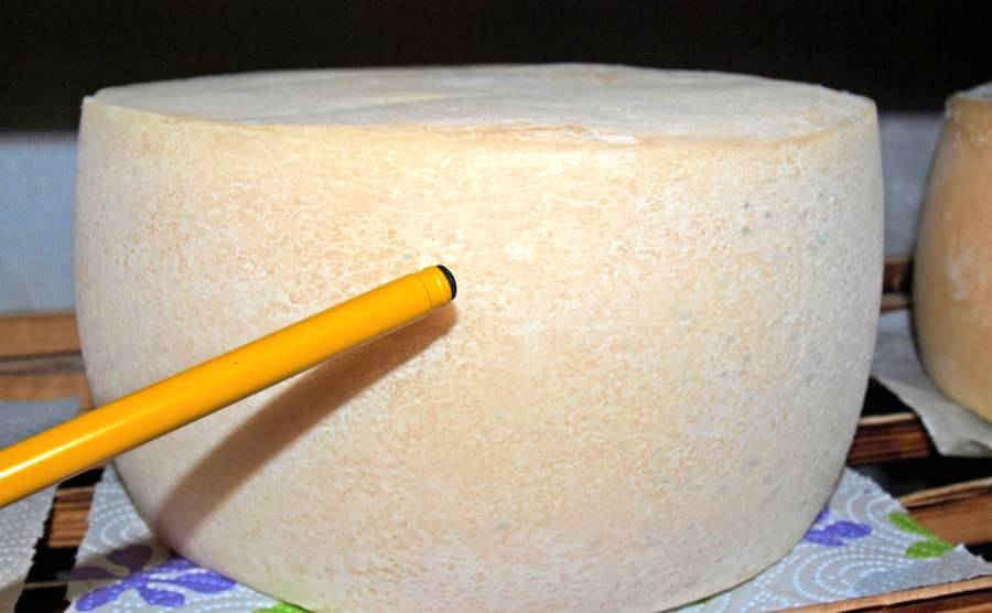 Leichter Schimmelbefall beim trocken Käse reifen.