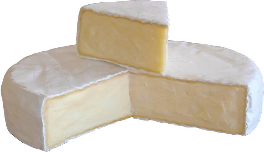 Ein mit Weißschimmel gereifter Käse.