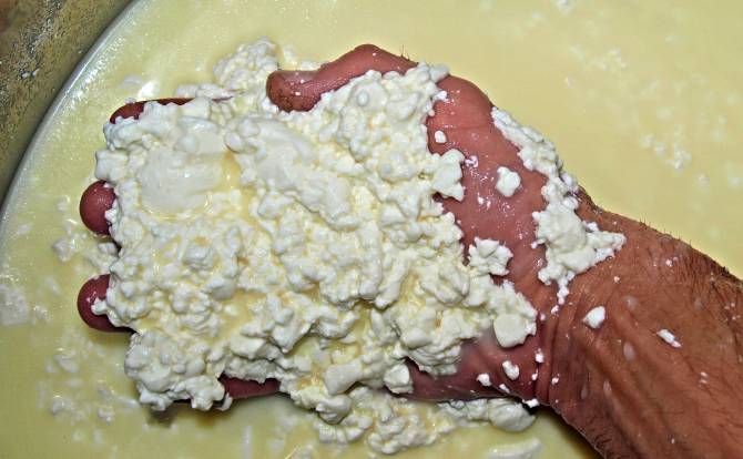 Ein Bruch mit Lab zum Käse selbst herstellen.