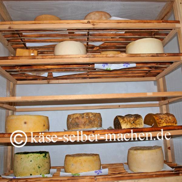 Kse selber herstellen und das Grundkserezept mit Lab  Kse selber machen  Schritt fr Schritt