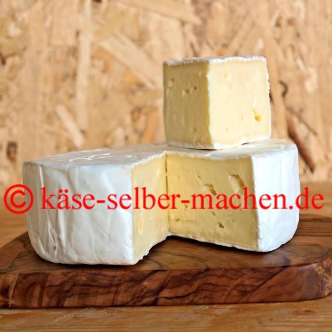 Käse selber herstelle und mit weißem Schimmel reifen lassen.