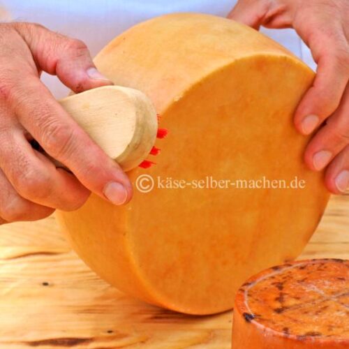 Das Bürsten beim Käse selber machen.