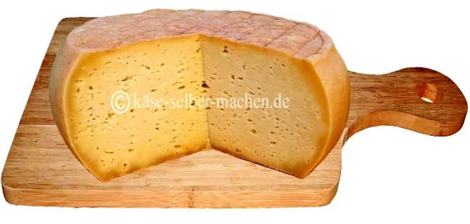 Dank Gase Emmentaler Käse selbst herstellen. 