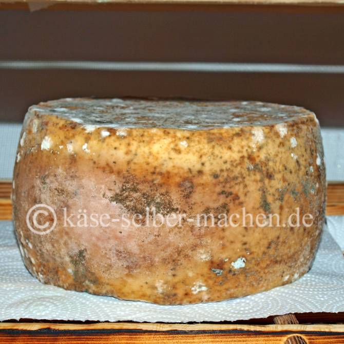 Was die Reife beim Käse selbst machen bewirkt.