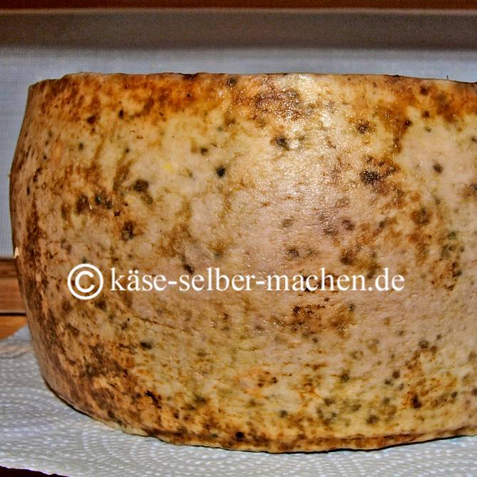 Besondere Oberfläche Pecorino Käse selber herstellen.