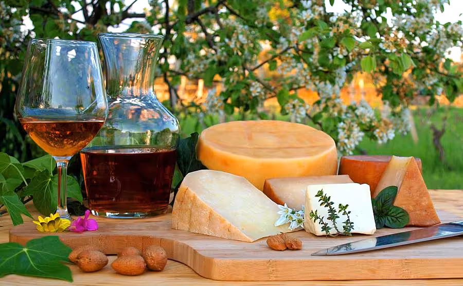 Die Vielfalt aus dem Buch Käse selber machen.